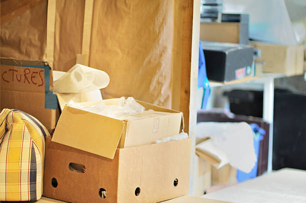 Best Professional Junk Removal  in Seymour, IN
